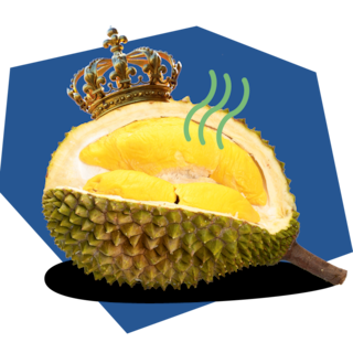 Durian Fruit