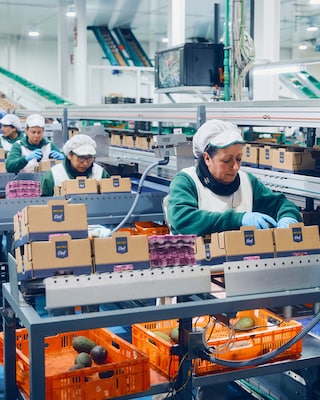 Nella sala di produzione dove gli avocado vengono trasformati, tra l'altro, in guacamole