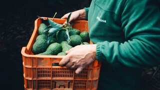 L'azienda impiega 750 persone e ha un fatturato annuo di 130 milioni di euro.