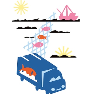 Fresh Fish Supply Chain