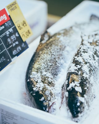 Fresh salmon on ice