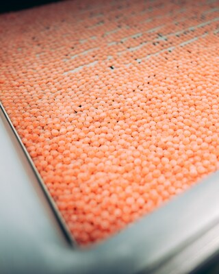 Salmon eggs