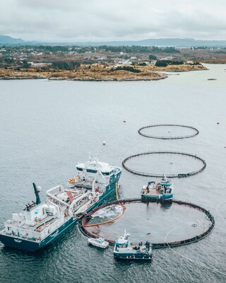 The ocean basins of the aquafarm