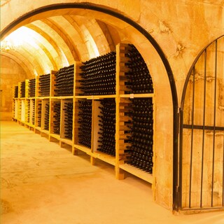 Wine cellar
