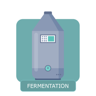 wineproduction - fermentation
