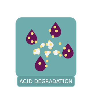 wineproduction - acid degradation