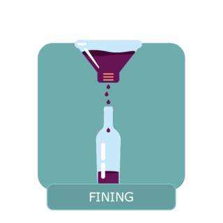wineproduction - fining