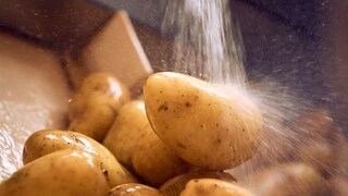 Dopo la raccolta, le patate vengono lavate.