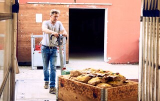 Le patate vengono preparate per il trasporto.