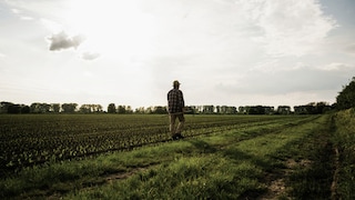 Regionalität Mann auf Feld