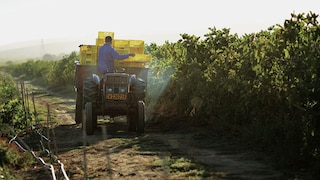 Regionalität Traktor
