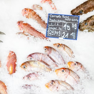 Pesce teaser dal Senegal in un negozio METRO