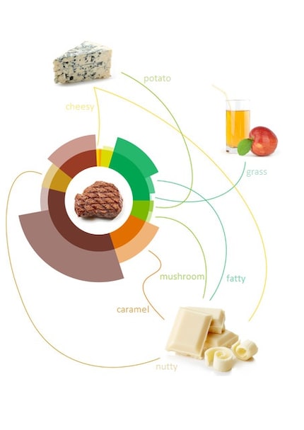 Foodpairing graphic shows how food ingredients can be combined