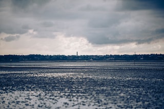 The sea at low tide - the best time to harvest oysters