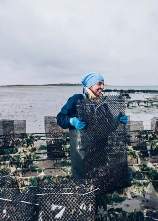 Sylter Royal Oyster farm