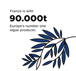 90000tonns-quadrat