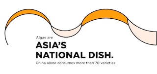 asia-dish-2-1