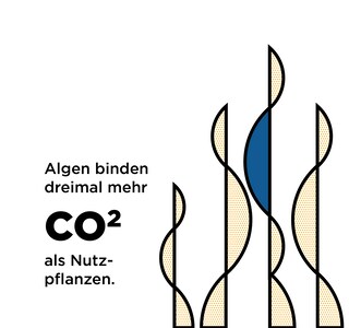 co2-quadrat