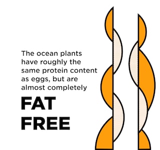fat-free-quadrat