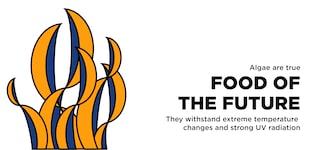 food-of-the-future-2-1