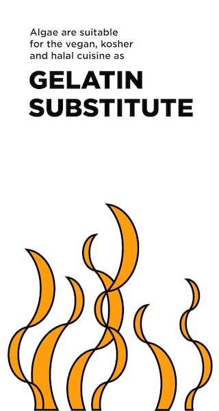 gelatin-substitute-hoch