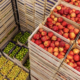 Approvvigionamento mondiale di frutta e verdura di ogni tipo
